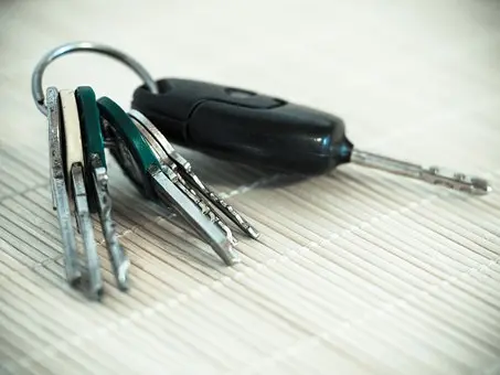 Car-Key-Duplication--in-Ballwin-Missouri-Car-Key-Duplication-3711690-image